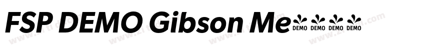FSP DEMO Gibson Me字体转换 FSP DEMO Gibson Me字体转换